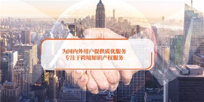 其他商务服务与商务代理服务的深度解析